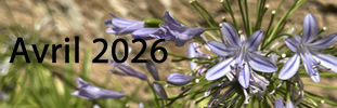 avril-2026